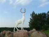 DSC09603-Small